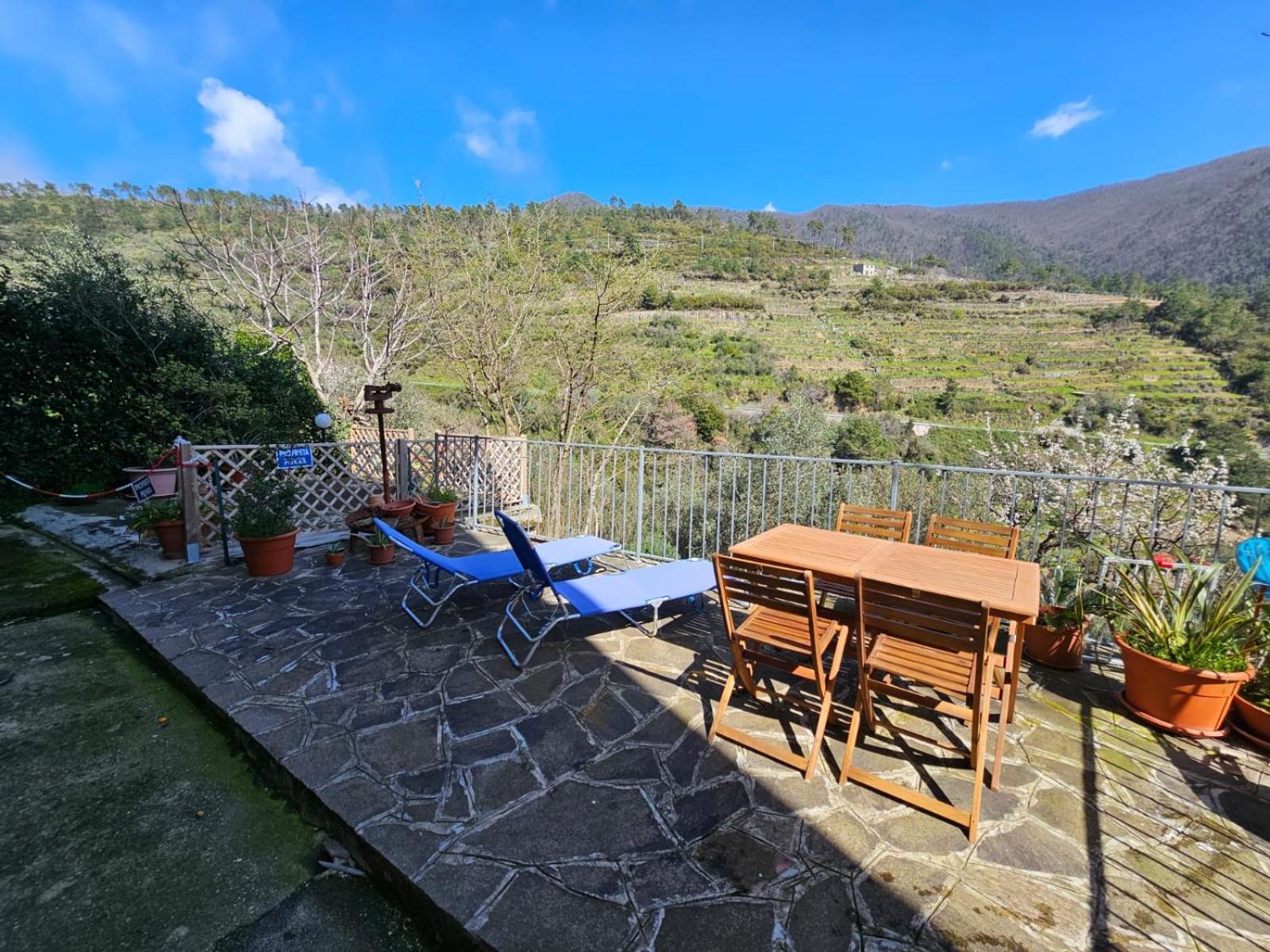 Apartment Il Bassotto - Homy 5 Terre Volastra